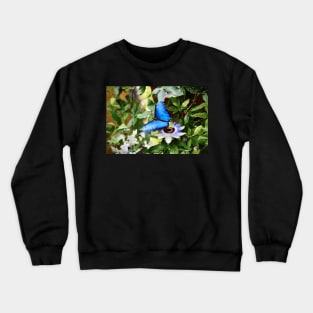 Schmetterling Morphofalter / Swiss Artwork Photography Crewneck Sweatshirt